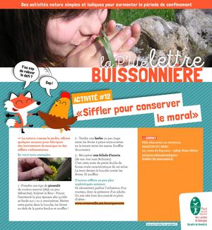 La Ptite Lettre Buissonnière 12 Siffler Pour Conserver Le Moral