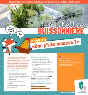 La Ptite Lettre Buissonnière 18 Une P'tite Mousse