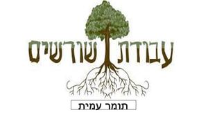 עבודת שורשים תומר