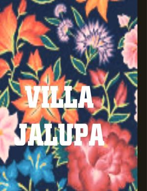 La villa de todos "VILLA JALUPA"