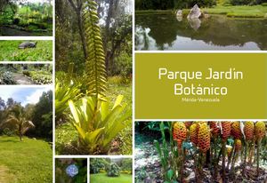 Catalago Digital Del Parque Jardin Botanico Merida Venezuela