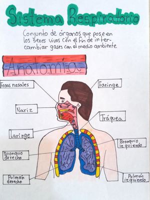 Laminario de Biologia