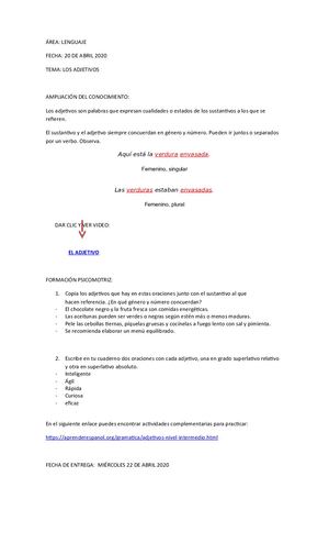 Los Adjetivos Cuarto