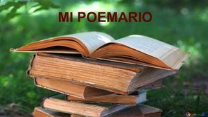 Mi Poemario Para Ti