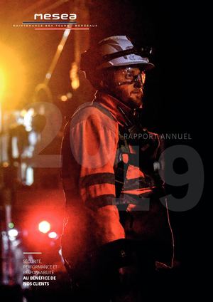 MESEA - Rapport annuel 2019