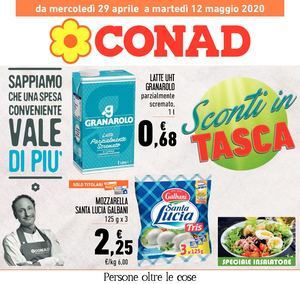 Volantino CONAD 2010P Sud