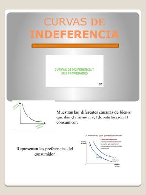 Revista sobre Las Curvas de Indiferencia