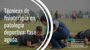 Técnicas De Fisioterapia En Patología Deportiva