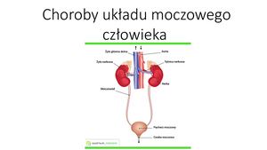 Prezentacja Biologia