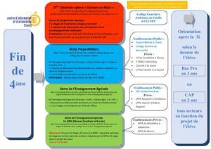 Après La 4è - quelles alternatives