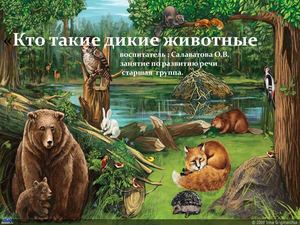презентация дикие животные