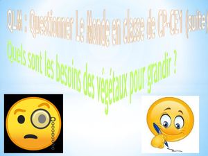 QLM - Quels Sont Les Besoins Des Végétaux Pour Grandir