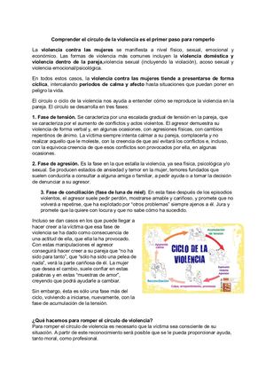 Ciclo De La Violencia