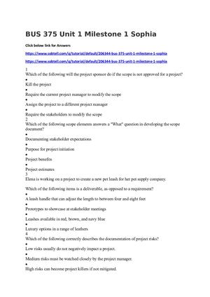 Bus 375 Unit 1 Milestone 1 Sophia