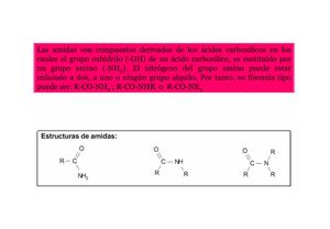 Carbohidratos Y Lipidos