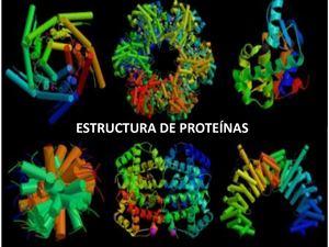 Proteinas Estructura Y Funcion