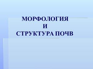 МОРФОЛОГИЯ И СТРУКТУРА ПОЧВ