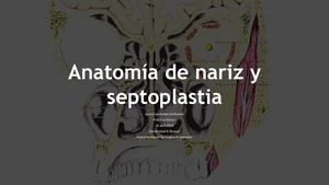 Anatomia De Nariz Y Septopastia Convertido