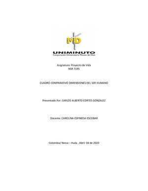 CUADRO COMPARATIVO DIMENSIONES DEL SER HUMANO