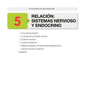 Actividades de Recuperación Sistema nervioso y endocrino