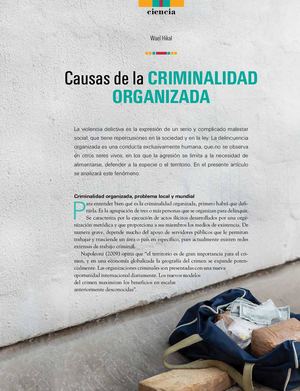 Causas de la criminalidad organizada