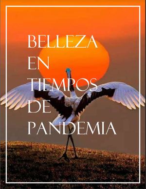 Belleza En Tiempos De Pandemia