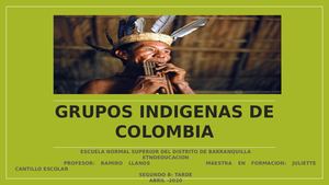 Grupos Indígenas De Colombia