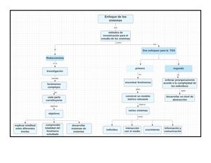 Mapa Conceptual Enfoque De Los Sistemas