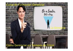 Tema 1 La Gerencia