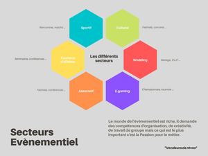 LES SECTEURS DE L'EVENEMENTIEL