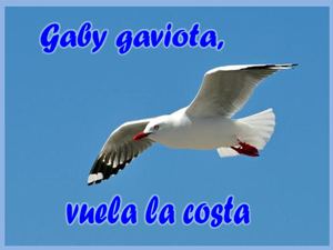 Cuento Gaviota