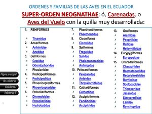 ORDENES Y FAMILIAS DE LAS AVES EN EL Ecuador