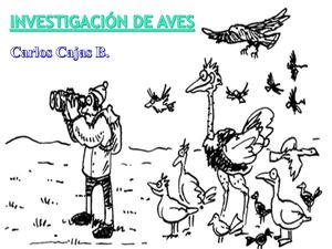 5 1 Investigación AVES