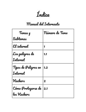 Manual Del Internauta