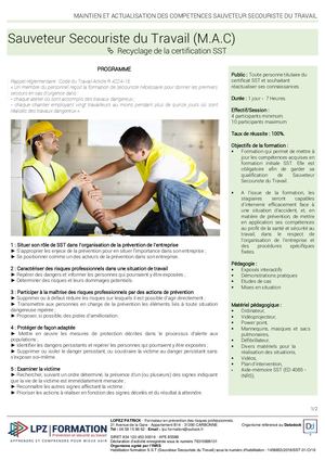 02. Maintien Et Actualisation Des Compétences Sauveteur Secouriste Du Travail - Version Avril 2020 - V3 - Patrick LOPEZ