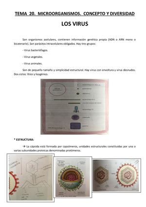 Tema 20 Virus Microorganismos, Concepto Y Diversidad Parte 2