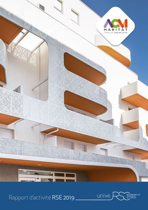 Rapport d'activité RSE 2019