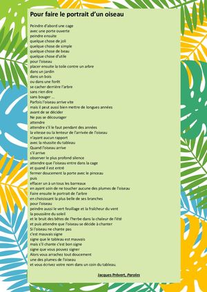 Faire Le Portrait D'un Oiseau