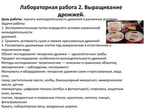 Лабораторная работа 2. Выращивание дрожжей.