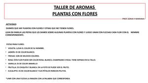Flores Aromas Semana 8