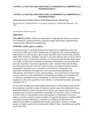 La Curcuma Y Las Bridas Intestinales