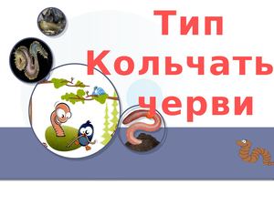 ТИП КОЛЬЧАТЫЕ ЧЕРВИ 76