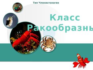 РАКООБРАЗНЫЕ 76