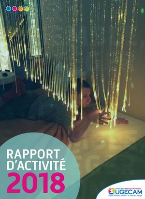 Rapport d'activité 2018 Ugecam PACA et Corse