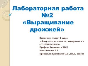 Константинов В Лабораторная работа №2 Выращивание дрожжей