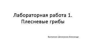 Денисенко выращивание плесени