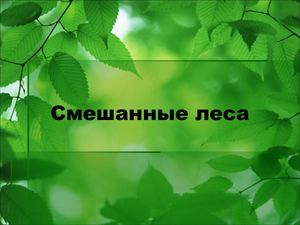 Смешанные леса.