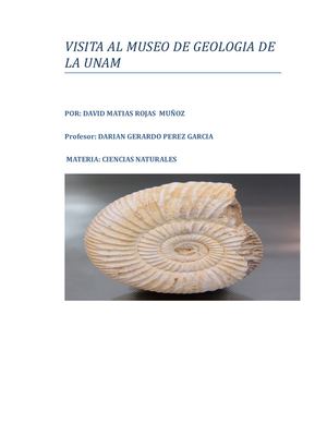 Visita Al Museo De Geologia De La Unam