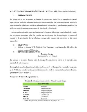 Cultivo De Lechuga Hidróponica En Sistema Nft