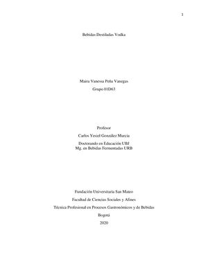 Bebidas Destiladas Vodka